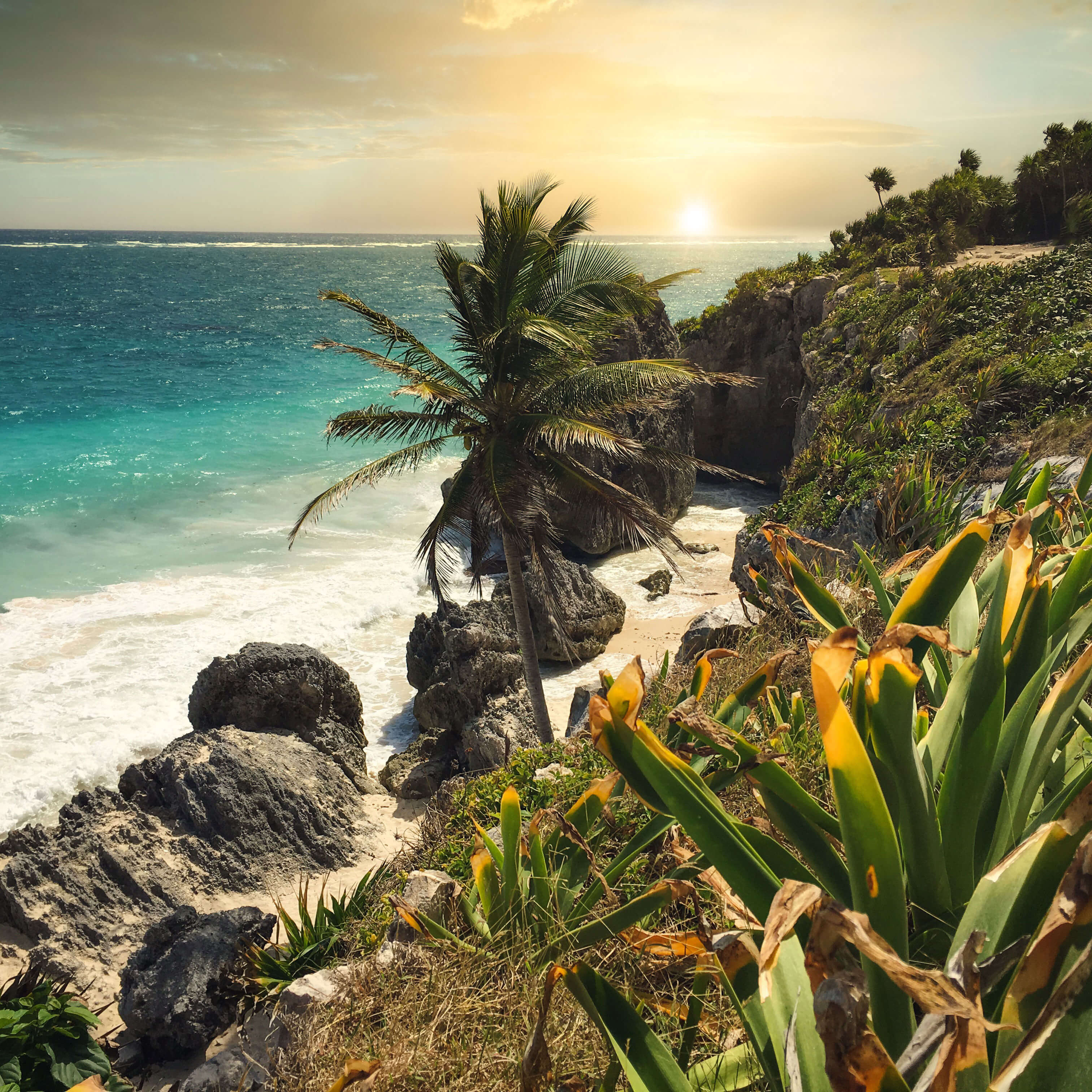 Tulum Tour